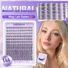 Wispy Lash Clusters Natural Eyelash Clusters C Curl Individual Lashes