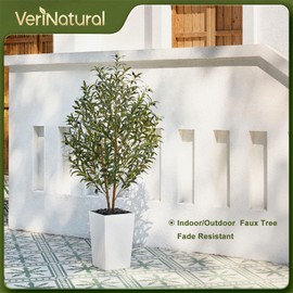 VeriNatural Artificial Olive Tree 5FT - Tall Faux Olive Trees with Natural Wood Trunk, Silk Leaves, White Taper Planter & Pebbles, UV Resistant Fake Plants Indoor for Home Decor, Office,Outdoor,VN131