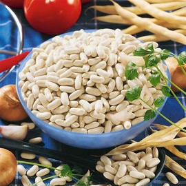 Organic Great Northern Cannellini Bean Pole Seeds 15g ~39 Seeds– Non-GMO, Heirloom Climbing Beans for Vertical Growing – High-Yield, White Beans for Soups & Stews – USA Packed