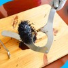 fuik Sea Urchin Opener, Sea Urchin Cutter Multifunctional Anti Rust