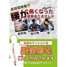 2024 Newest (Physical The) Lumbar Pillow, Large Back Support, Shinkansen Airplane, Air, Backrest, Portable