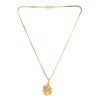 Efulgenz Gold Plated Cubic Zirconia Zodiac Capricorn Sign Pendant Chain