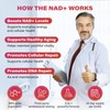 ZOOONE NR1000 NAD+ Berry Flavor Drink Mix – Supports Skin
