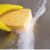 Spontex 100% Biodegradable Cellulose Swelling Sponge 1 x Pack of
