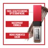 Maybelline Tattoo Studio Brow Styling Gel, Waterproof Eyebrow Make Up,