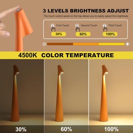 Hebangya LED Cordless Table Lamp, Modern Portable Desk Lamp Rechargeable Battery Night Light 3 Level Brightness Small Lamp 4500K Warm Light Touch Lamp for Restaurant Outdoor (Orange)