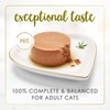 Purina Fancy Feast Pate Turkey and Giblets Feast Classic Grain
