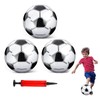 Roontin Inflatable Football, 3 Pack with Pump, for Kids and