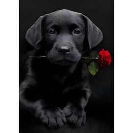 MXJSUA DIY 5D Diamond Painting Kits for Adults Full Round Drill Diamond Arts Kits Adults Full Diamond Painting Kits Animal Diamond Painting Dog Diamond Pictures Arts Gift Black Dog Rose 30x40cm