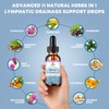Lymphatic Drainage Support Drops – 11-in-1 Herbal Extract Formula with