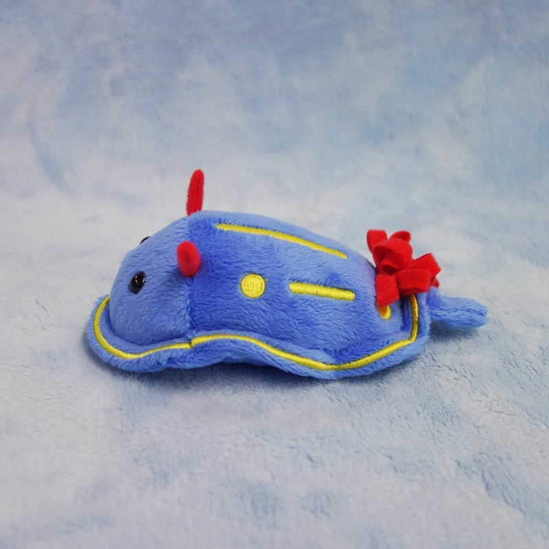 Sea Walk Your Friends Beans Plush aoumiusi Total length 15