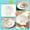 12 Pcs 4-5 Inch Large Scallop Seashells,Natural White Shells for