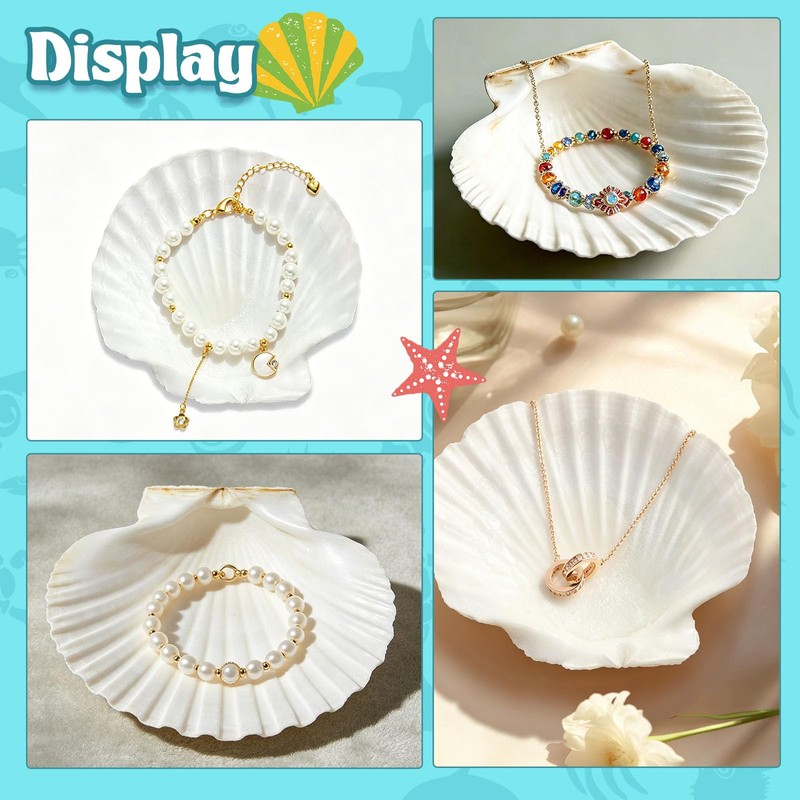 12 Pcs 4-5 Inch Large Scallop Seashells,Natural White Shells for