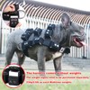 Black Dog Harness