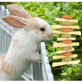 Lexziuo 1PCS Rabbit Chew Toy for Dental Health, Natural Timothy Hay & Sweet Bamboo Carrot-Shaped Chewing Treat for Bunnies, Guinea Pigs, Hamsters, Small Rodents
