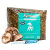 Mycelium's Shiitake Gourmet Mushroom Kit | 8LBS Oak and Soy