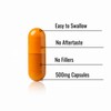 PURE Berberine HCL -500 COUNT- Capsules 20:1 Herbal supplement -