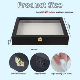 IHEIPYE Insect Display Case Wall Mount Bug Display Collection Box for Butterfly Specimen with Anti Fade UV Protection Acrylic Top Eva Foam Pinning Board and 3 Sizes Pins Insect Shadow Box-Large Black