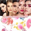 Brochas de Maquillaje Profesional 16 Piezas set de Brochas Maquillaje