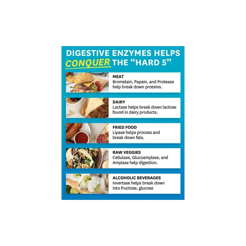 Zenwise Enzimas Digestivas Y Probioticos 180 Caps Sabor Sin sabor
