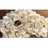Unbranded 6 Fabulous Iridescent Cream Trocas Shell MOP Buttons 15mm