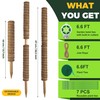 SOIL TENDERS Moss Pole for Plants,6 Pack 40cm Monstera Plant