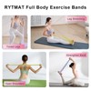 RYTMAT Resistance Bands Set, Exercise Bands with 10-20 LB Strength