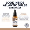 Vimergy Vimergy Atlantic Dulse Liquid C Antioxidant Support* C Promotes