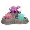 TOP BRIGHT Spinosaurus Crystal Breeding Set