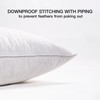 ANT-HOME 20"x20" Pillow Inserts Soft Feather Pillow Set of 2