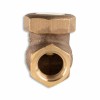 United Brass 1/2" UNITED BRASS WORKS SPRING CHECK VALVE