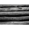 BLACK + BLUM Water Sticks| Charcoal Filter Hydration Old Japanese
