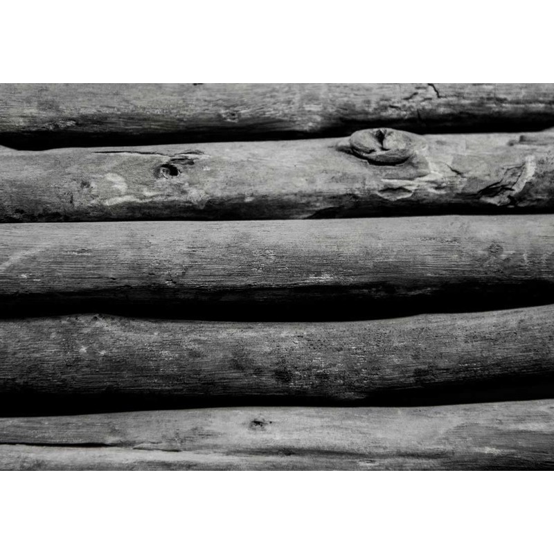 BLACK + BLUM Water Sticks| Charcoal Filter Hydration Old Japanese