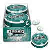 ICE BREAKERS Wintergreen Mints, Mint Candy, Candy Bulk Box to