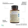 Potenciador Cerebral Nootrópico Vimerson Health 60caps