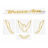 Trans Am Rear Panel Overlay Decal - 93-02 Trans Am