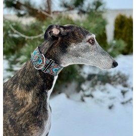 Martingale Dog Collar for Greyhound Saluki Whippet and Other Breeds with Similar Neck 2" Wide (11"-14")