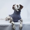 ROZKITCH Dog Anxiety Jacket, Soft Dog Calming Shirt for Lightning,