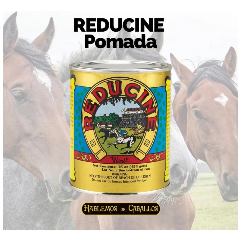 Reducine 454g Antiinflamatorio Analgesico Estimulante Equino