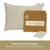Allerease Organically Grown Cotton Allergy Defense Odor Neutralizing Zippered Pillow