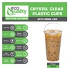 10 oz Cups, 500 Pack | Iced Coffee Go Cups