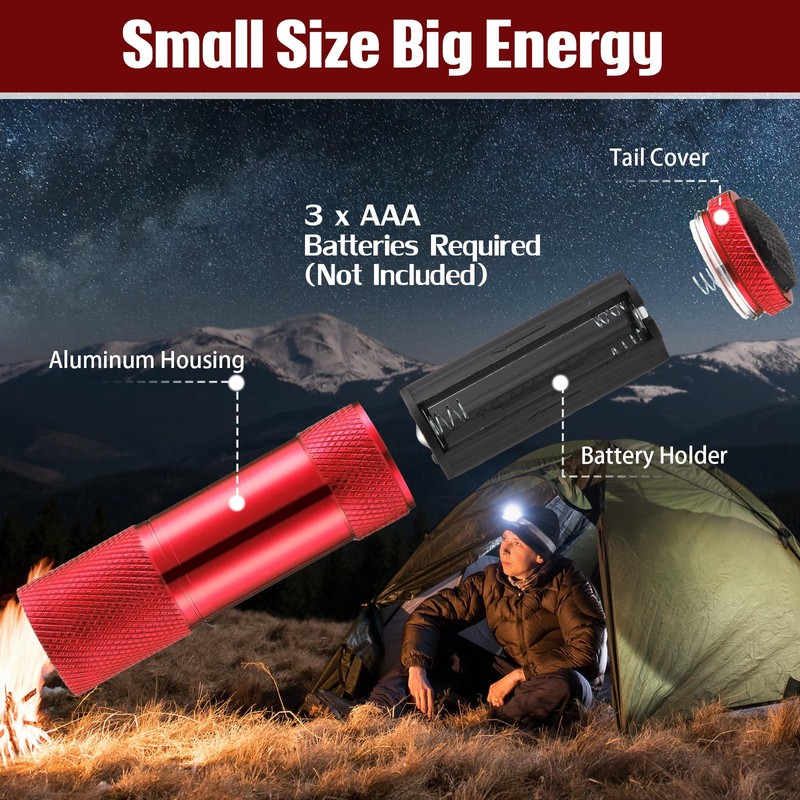 VIHOSE 48 Pcs Mini Flashlights Bulk, Bright Aluminum Handheld Flash