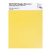 Pantone Metallic Shimmer TPM, 8.5x11 Inch Sheet, 20-0045 Limoncello