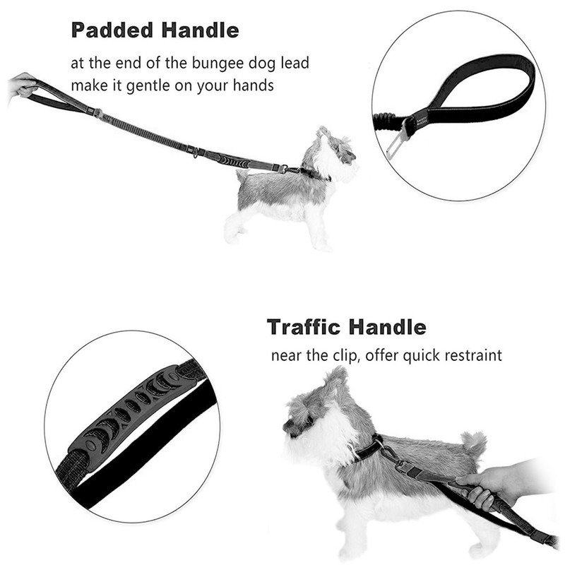Dog Leash Multifunctional Strong Durable Buffer Training Traction Rope Pet