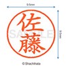 シャチハタ 印鑑 ハンコ ネーム9 XL-9 印面9.5ミリ 佐藤