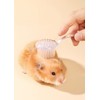 WCDJOMOP 3 Pack Small Animal Grooming Brush - Hair Brush