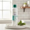 Stanhome Fresca Pie Diabec Dry Skin con Urea, Hidrata Pies