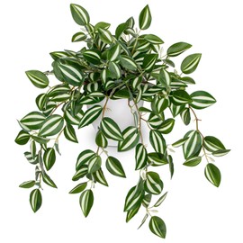 Briful Fake Plants Indoor Artificial Potted Silk Plants Faux Watermelon Peperomia Cascading Vine Plant for Home Office Livingroom Desk Shelf Mantle Decoration(Green/White - 1 Pack)