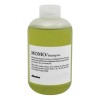 Momo Shampoo Davines Hidratacion 250 Ml