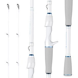 KastKing Centron Lite Twin Tip Casting Rods,6'0", Mod Fast, Medium